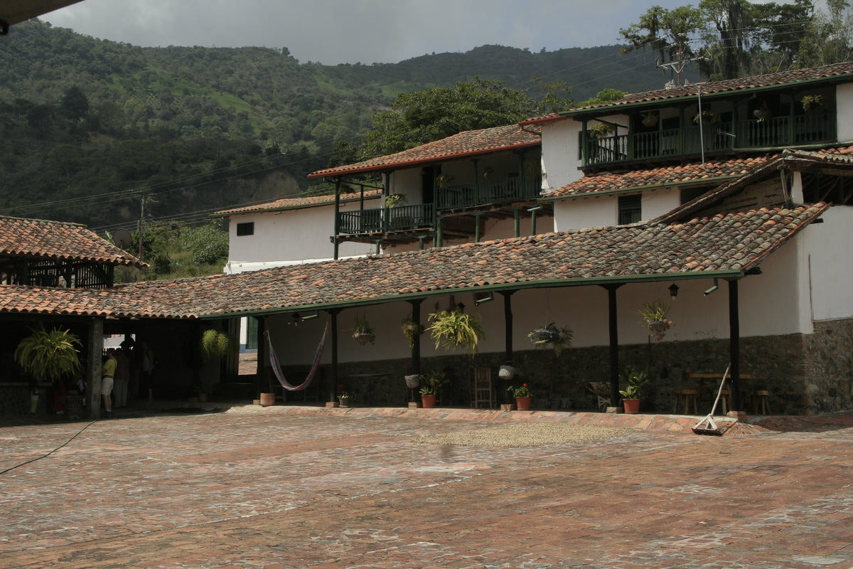 Paisaje cafetero de Venezuela