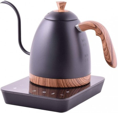 Brewista Artisan Wasserkocher